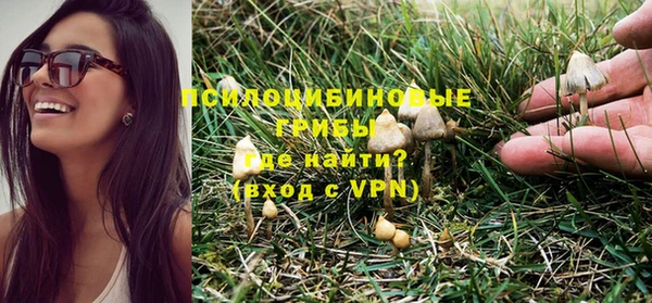 гидропоника Сатка
