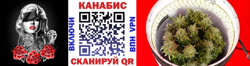Каннабис THC 21%  продажа наркотиков  мориарти как зайти  Свободный 